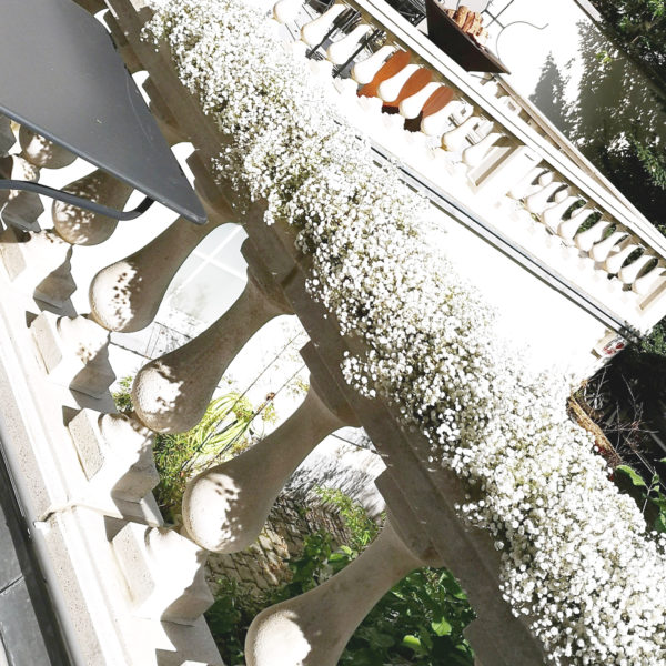 Mariage White Ambiance - Fleur dÔ