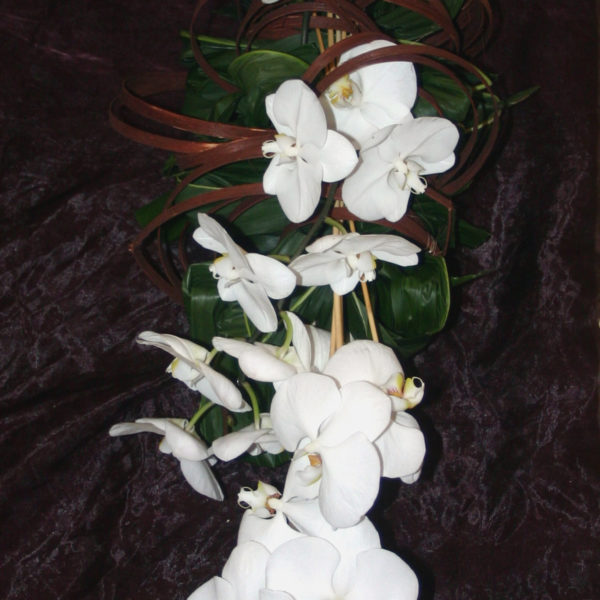 coussin long blanc phaelenopsis © Fleur d’Ô 2016