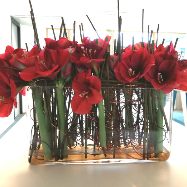 H&M – © Fleur d’Ô 2018